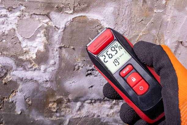 Best Preventive Mold Services in Gate City, VA
