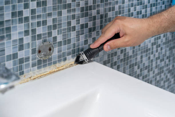 Best Residential Mold Remediation in Gate City, VA
