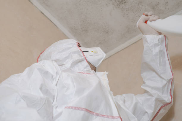 Best Health and Safety Mold Remediation in Gate City, VA