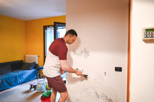 Best Preventive Mold Services in Gate City, VA