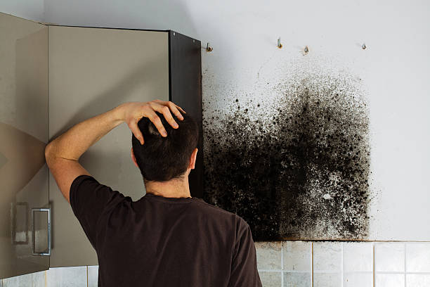 Best Kitchen Mold Remediation in Gate City, VA