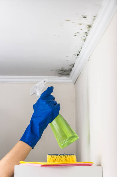 Gate City, VA Mold Remediation Company